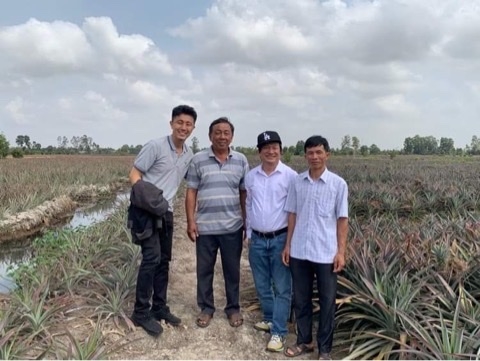 FINDING OPPORTUNITIES FOR VI THANH PINEAPPLE FARMERS